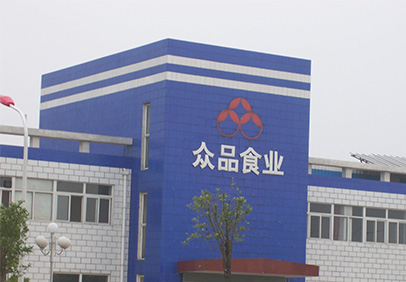 2010年河南眾品食業(yè)有限公司二期年產(chǎn)16萬噸無公害豬肉及其制品綜合加工國債項目制冷與空調(diào)安裝工程